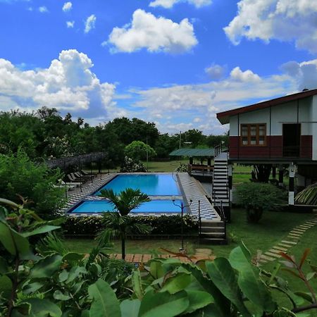 Eco Hotel Black & White - Anuradhapura Mihintale Ngoại thất bức ảnh