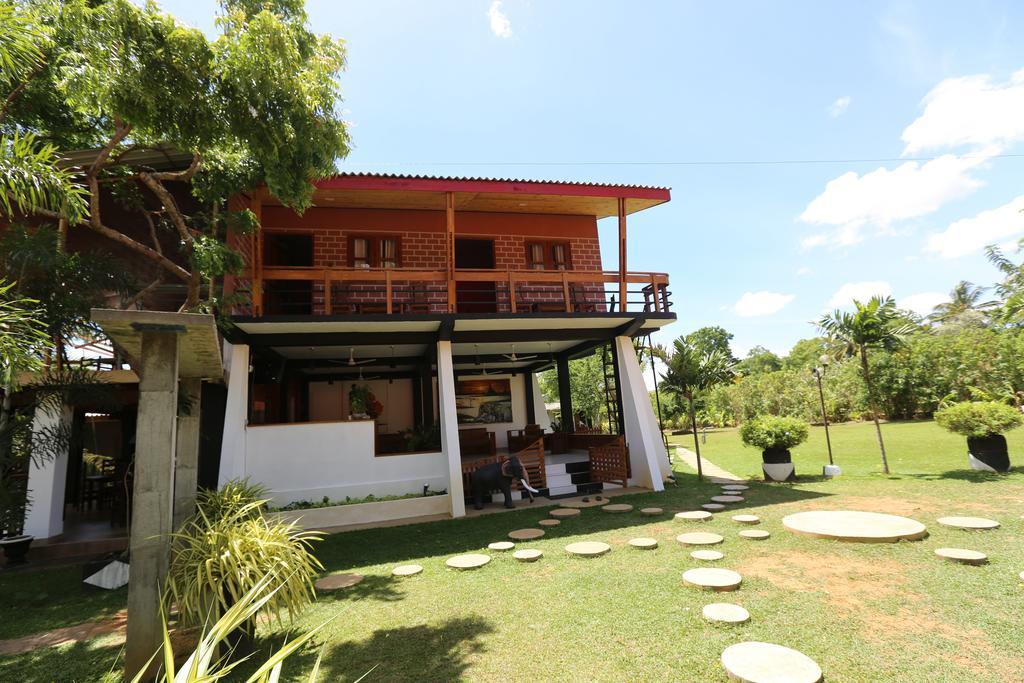 Eco Hotel Black & White - Anuradhapura Mihintale Ngoại thất bức ảnh