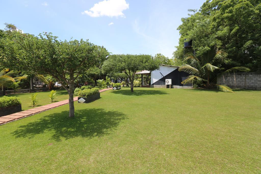 Eco Hotel Black & White - Anuradhapura Mihintale Ngoại thất bức ảnh