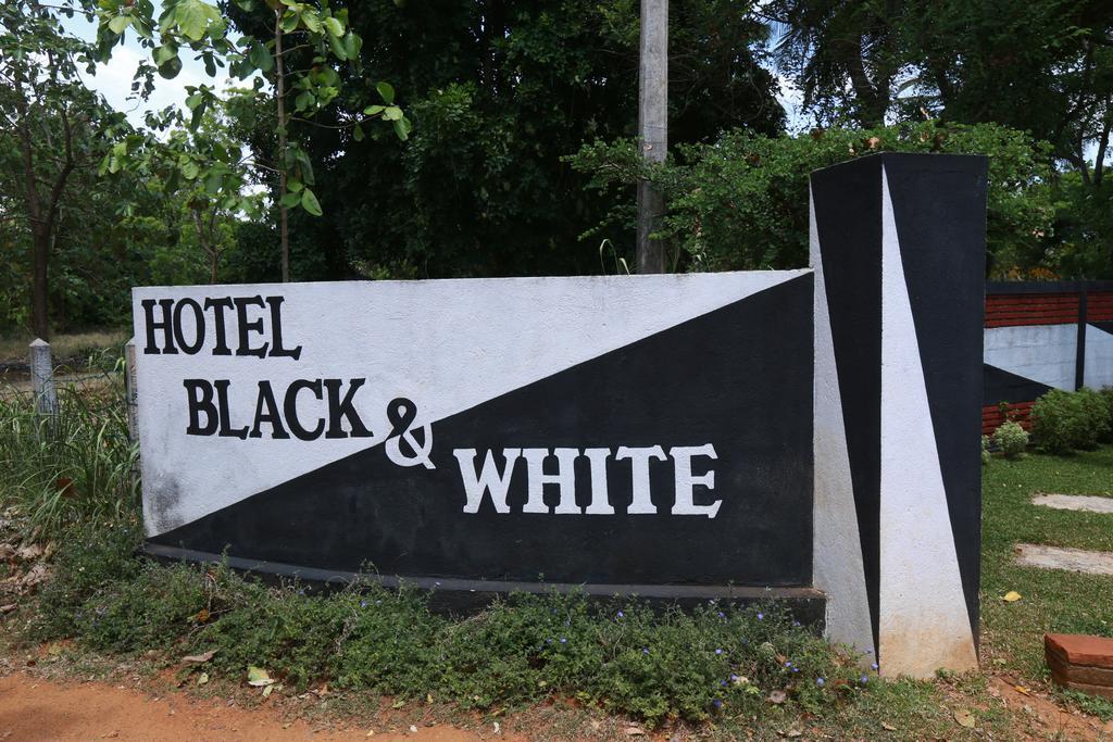 Eco Hotel Black & White - Anuradhapura Mihintale Ngoại thất bức ảnh