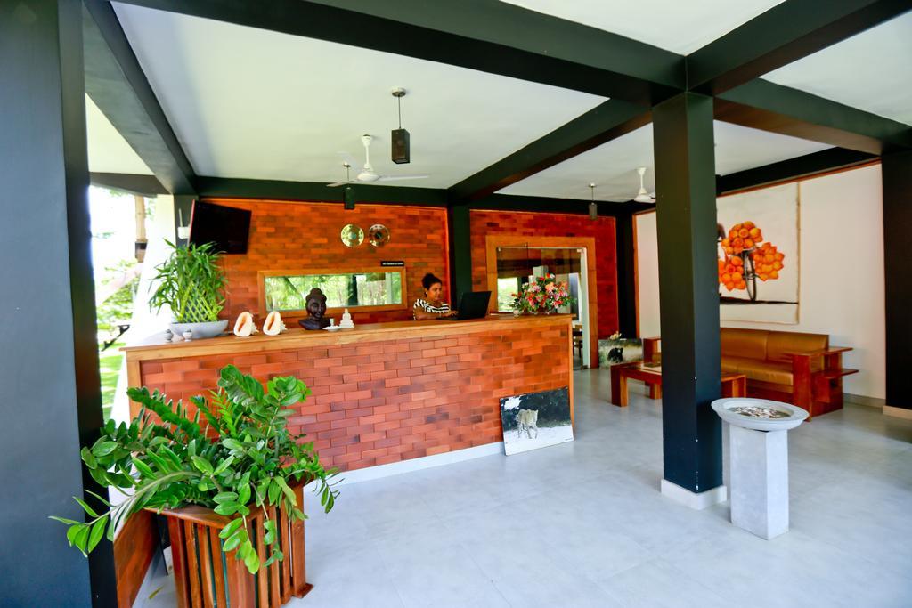 Eco Hotel Black & White - Anuradhapura Mihintale Ngoại thất bức ảnh