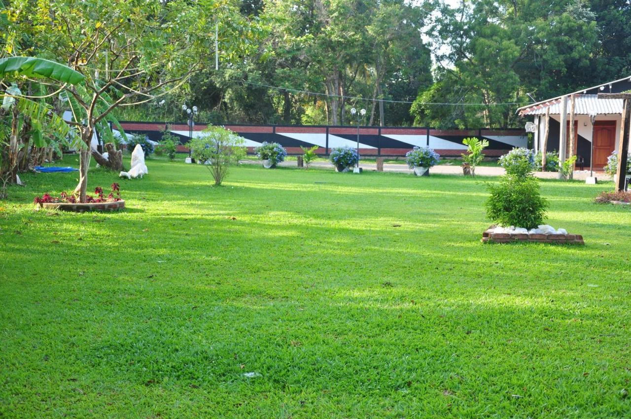 Eco Hotel Black & White - Anuradhapura Mihintale Ngoại thất bức ảnh